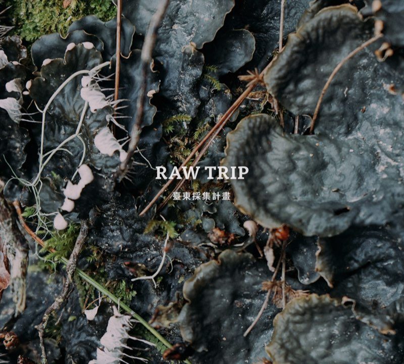 ▎Raw Trip 臺東採集計畫　▎TTDC X The Affairs 週刊編集 —— Raw Trip 線上編集計畫