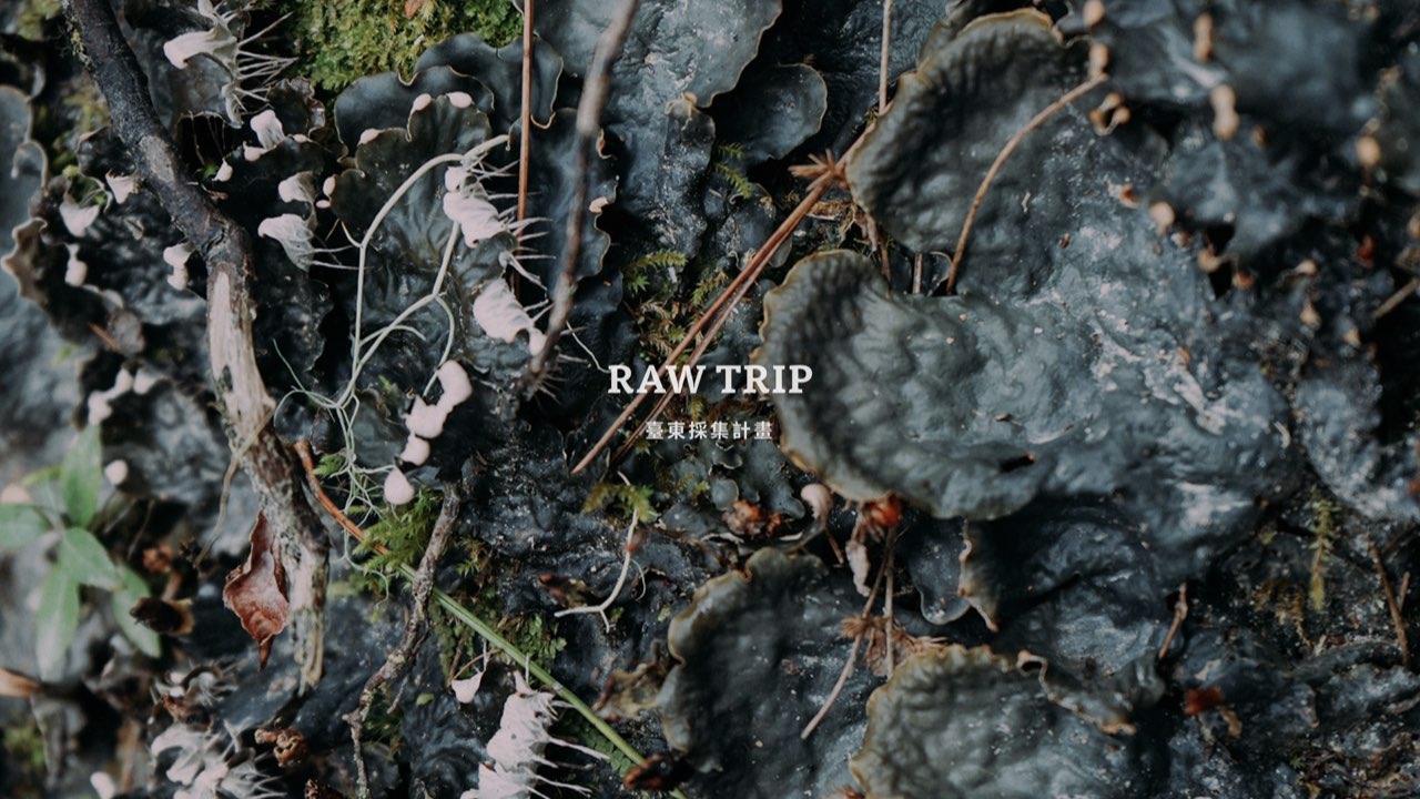 ▎Raw Trip 臺東採集計畫　▎TTDC X The Affairs 週刊編集 —— Raw Trip 線上編集計畫